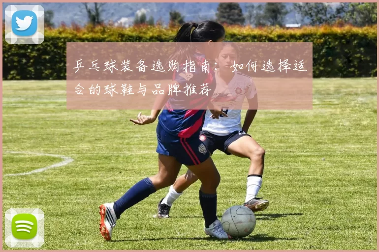 乒乓球装备选购指南：如何选择适合的球鞋与品牌推荐