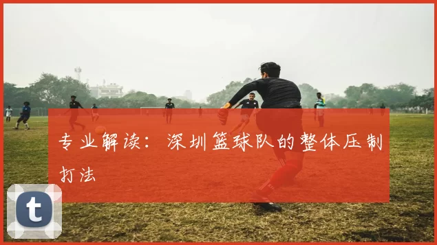 专业解读：深圳篮球队的整体压制打法
