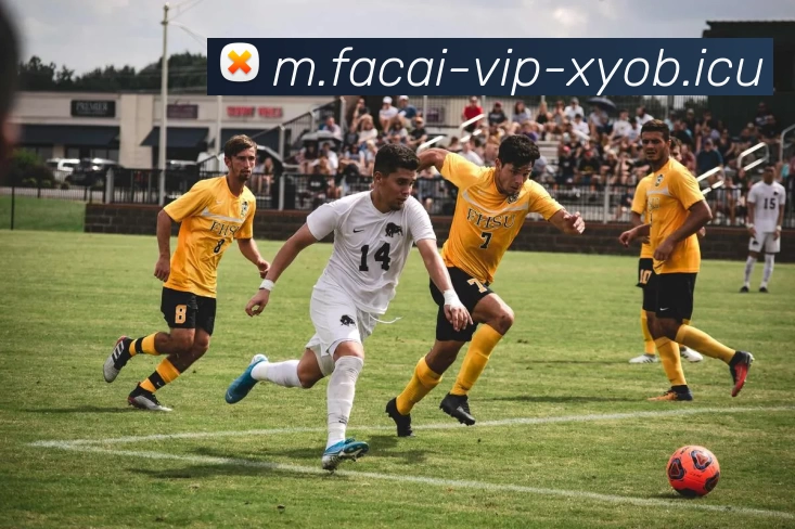 乐竞体育全站App